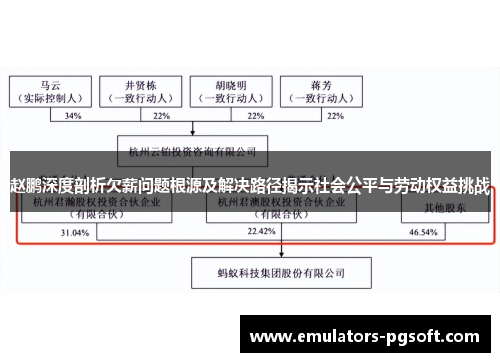 赵鹏深度剖析欠薪问题根源及解决路径揭示社会公平与劳动权益挑战