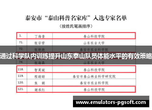 通过科学队内训练提升山东泰山队员体能水平的有效策略